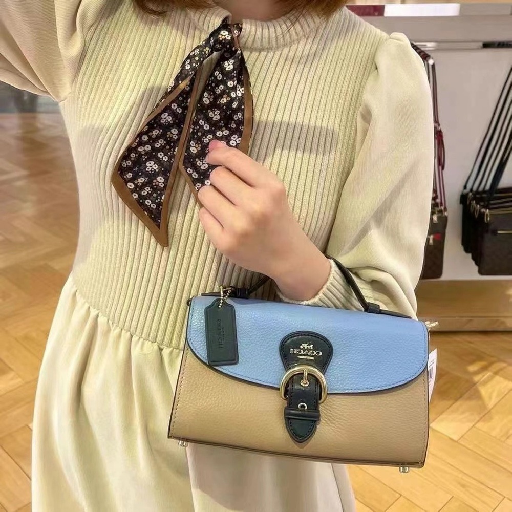 Blue and Tan Women's Handbag